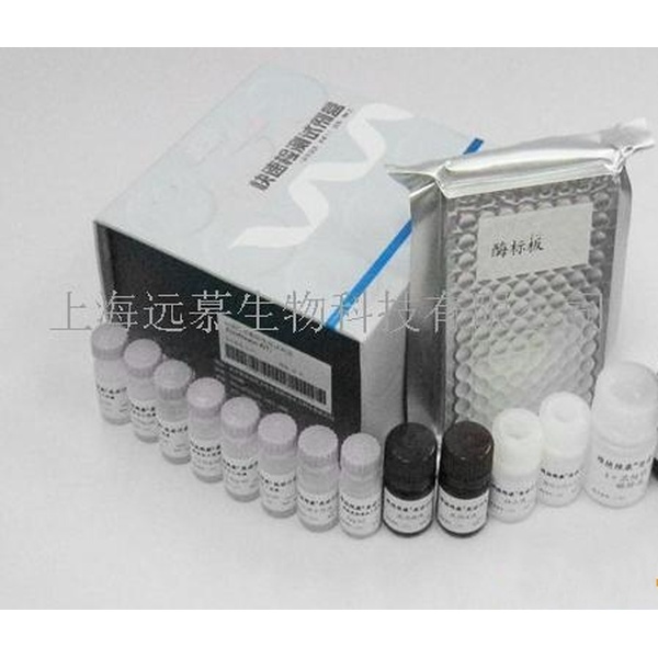 人肽-主要组织相容性复合体复合物(pMHC)ELISA kit