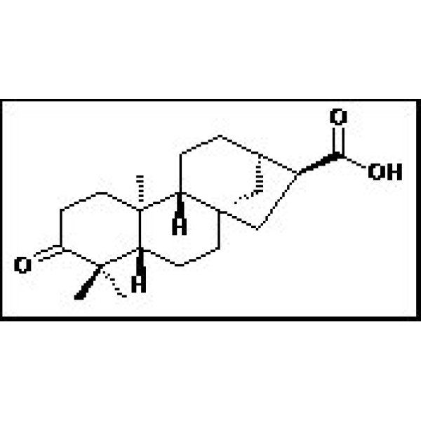 151561-88-5 3-氧代贝壳烯烷-17-酸
