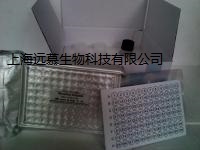 人骨成型蛋白受体Ⅱ(BMPR-Ⅱ)ELISA试剂盒