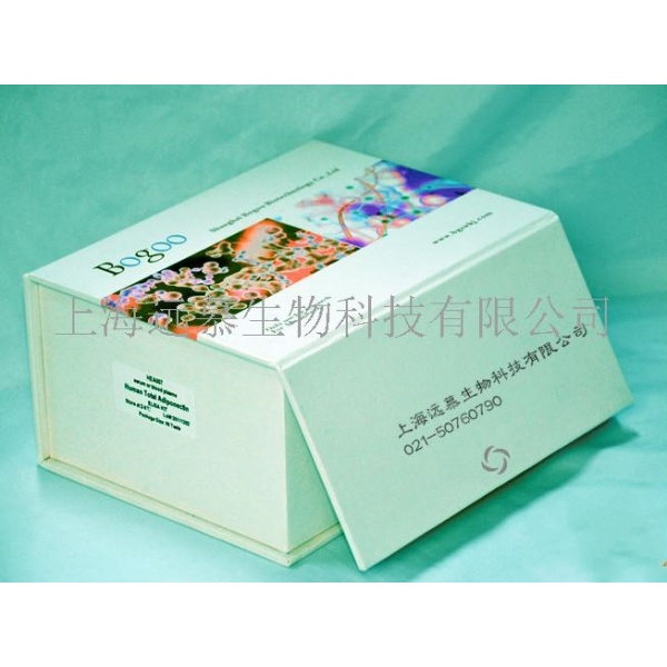 人血管紧张素Ⅱ(ANG-Ⅱ)ELISA试剂盒,进口ELISA试剂盒