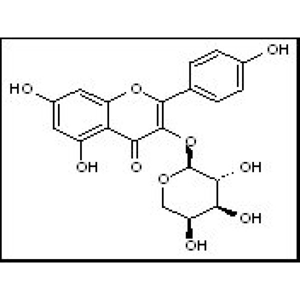 99882-10-7 堪非醇3-O-阿拉伯糖苷