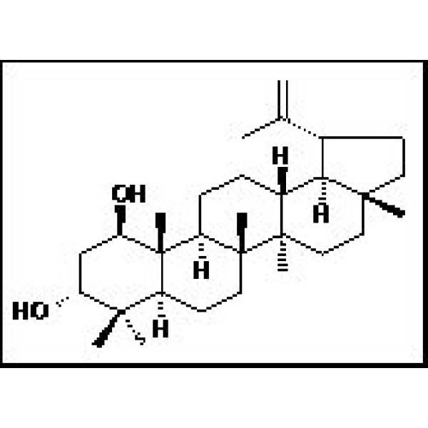 6610-56-6 算盘子二醇 Glochidiol