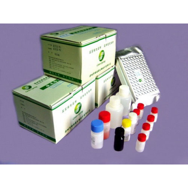 人EB病毒(EBV) ELISA试剂盒