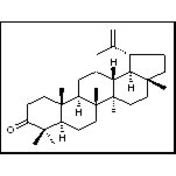 1617-70-5 羽扇烯酮 Lupenone
