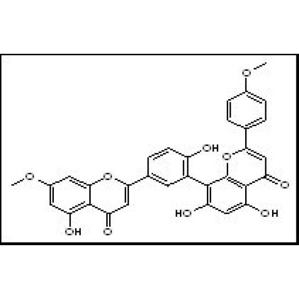 23624-21-7 竹柏双黄酮B