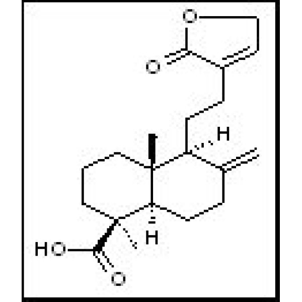 40433-82-7 松柏酸 Pinusolidicacid