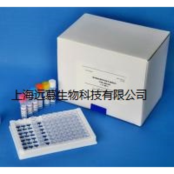人松弛肽/松弛素(RLN)ELISA试剂盒 