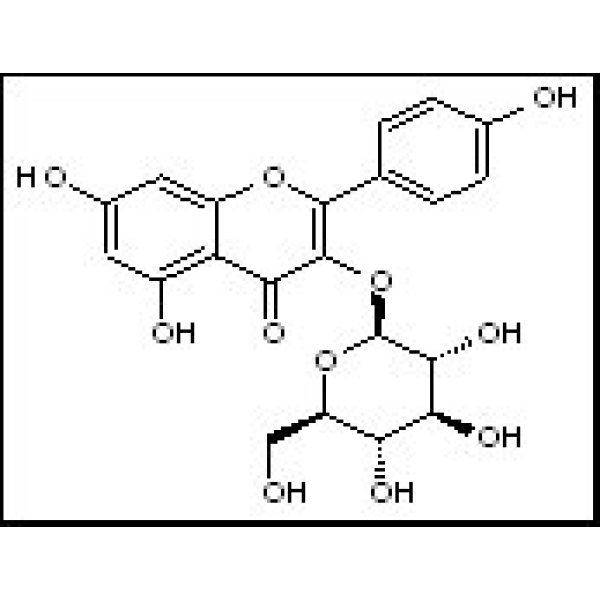 480-10-4 紫云英苷 Astragalin