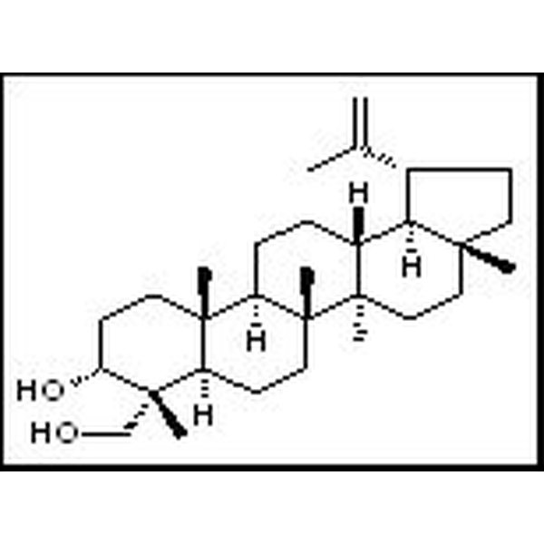 32451-85-7 20(29)-扇豆烯-3，23-二醇 20(29)-Lupene-3,23-diol