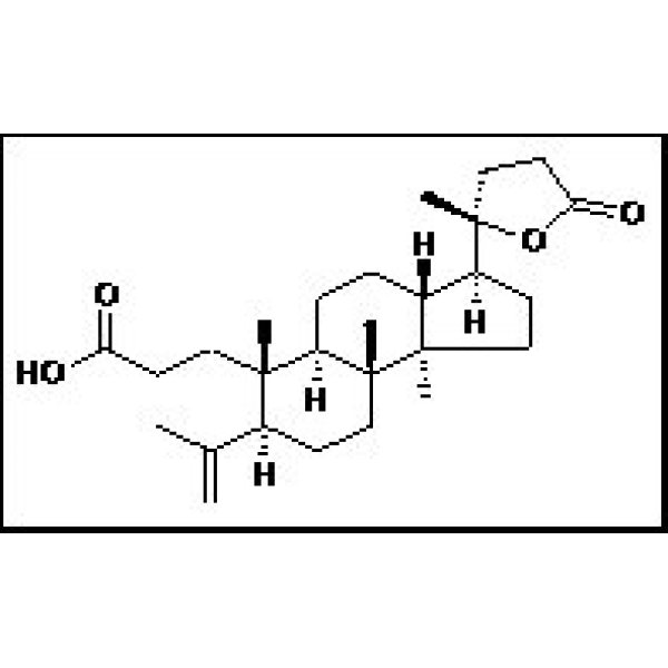 2202-01-9 艾希勒螺内酯 Eichlerialactone