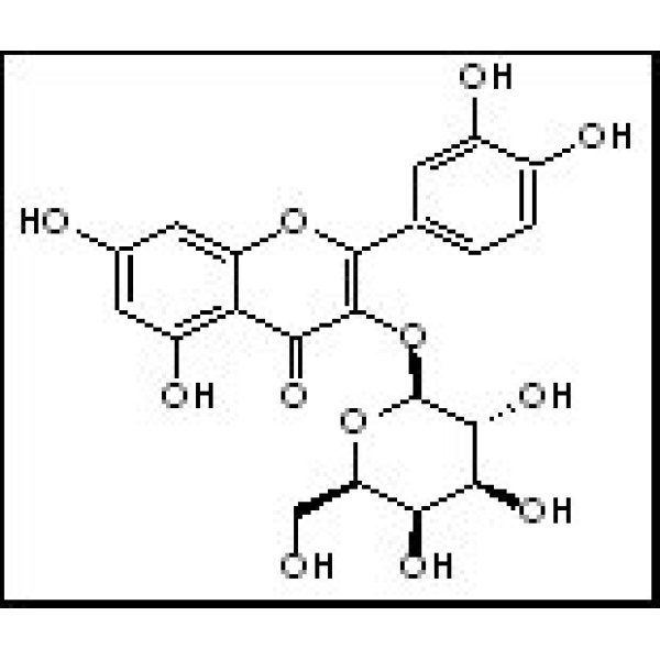 482-36-0 金丝桃苷 Hyperin