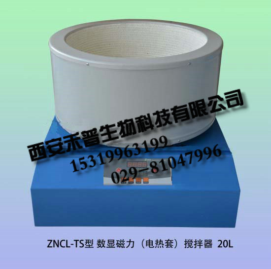 ZNCL-30L数显磁力（电热套）搅拌器 