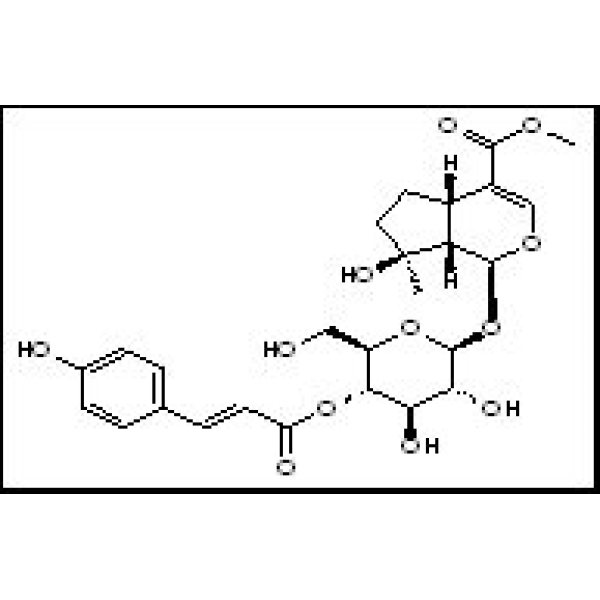 1246012-27-0 4'-O-trans-p-Coumaroylmussaenoside