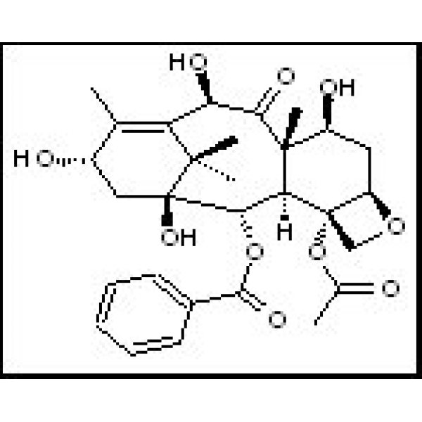 32981-86-5 10－脱乙酰基巴卡丁III 10-DeacetylbaccatinIII