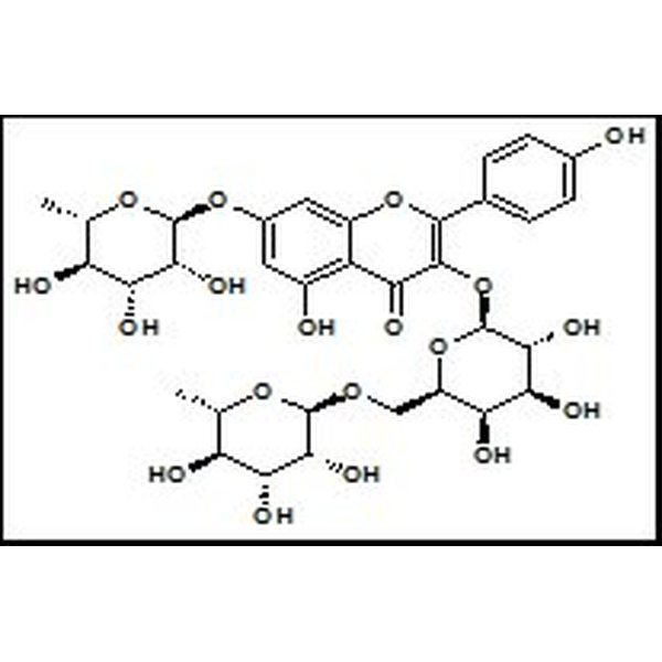 301-19-9 刺槐素 Robinin