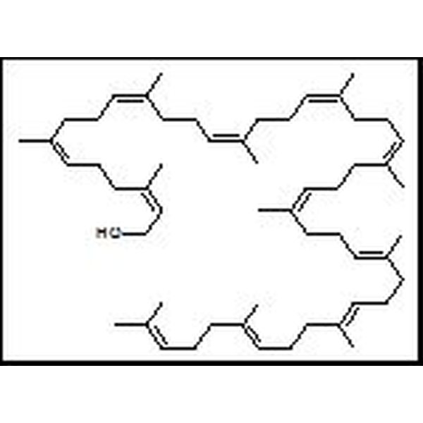 26296-50-4 野梧桐烯醇11 Ficaprenol11