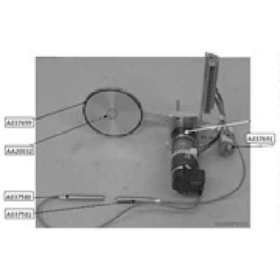 Trans Light Bulb12V 50W