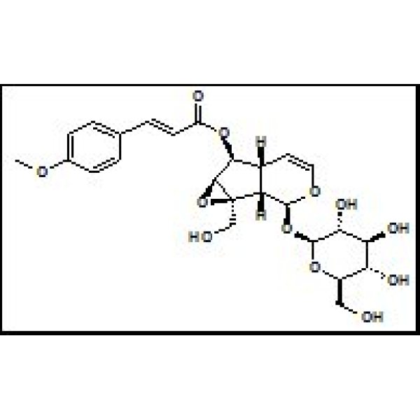 121710-02-9 6-O-对甲氧基肉桂酰梓醇