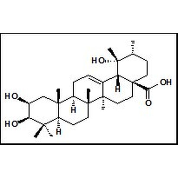 119725-19-8 2-表委陵菜酸 2-Epitormenticacid