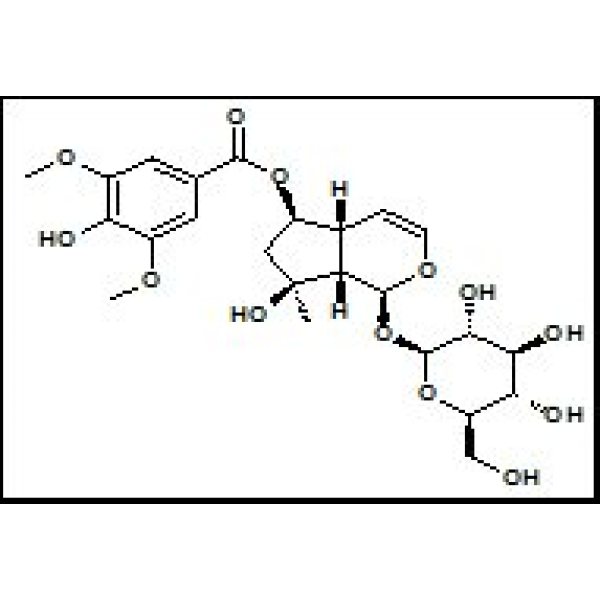 144049-72-9 6-O-丁香酰筋骨草醇 