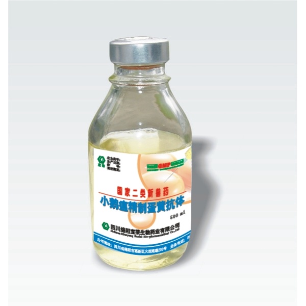 Mycobacterium bovis  牛结核杆菌菌体蛋白抗体