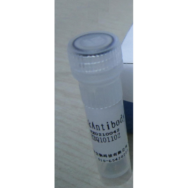 Clenbuterol Hydrochloride(Spiropent)  盐酸克仑特罗/瘦肉精抗体