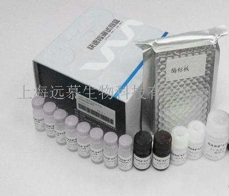 兔子E选择素(E-Selectin/CD62E)ELISA kit 