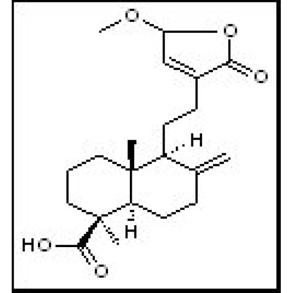 769928-72-5 15-甲氧基松柏酸