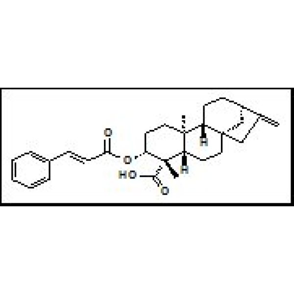79406-10-3 等效-3BETA-肉桂酰氧基贝壳杉-16-烯-19-酸