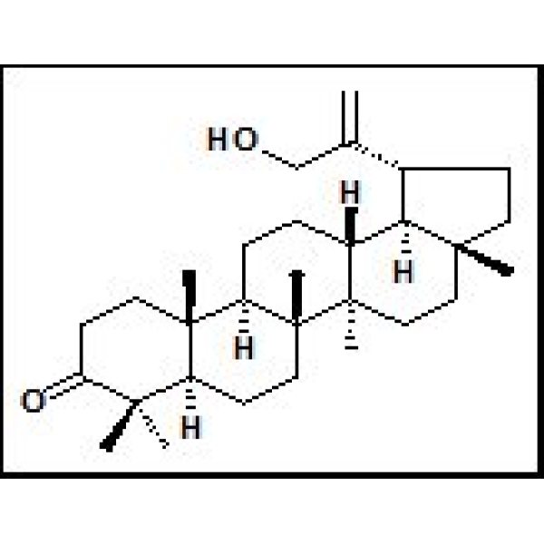 72944-06-0 30-羟基羽扇-20(29)-烯-3-酮