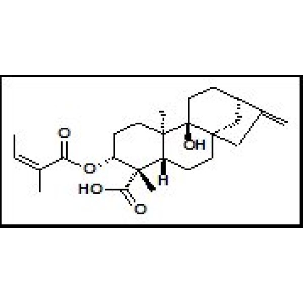 79406-11-4  3ALPHA-当归酰氧基-9BETA-羟基等效贝壳杉-16-烯酸