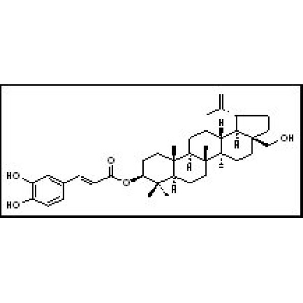 89130-86-9 咖啡酸桦木醇酯 Betulincaffeate