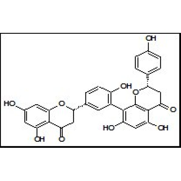 48236-96-0 穗花杉双黄酮