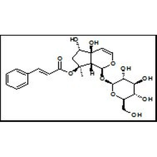 1151862-67-7 6-Epiharpagoside