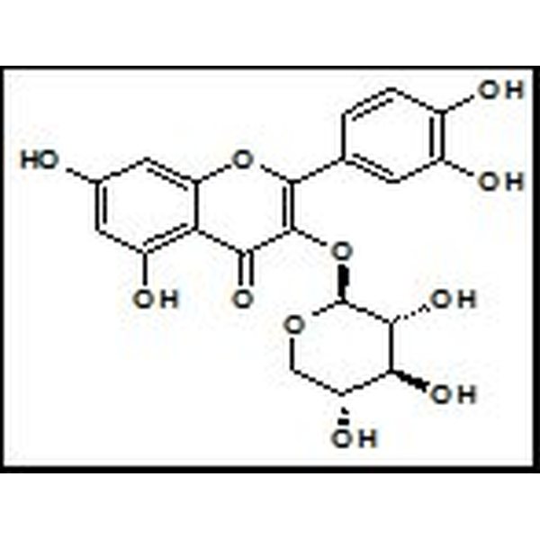 549-32-6 槲皮素-3-D-木糖甙 Reynoutrin