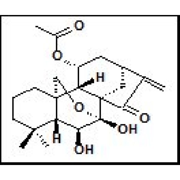 77949-42-9 长管贝壳杉素E LongikaurinE