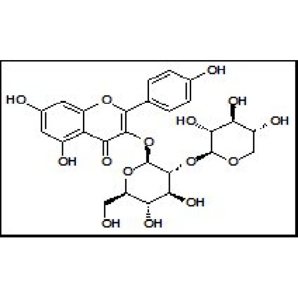 27661-51-4 堪非醇3-O-桑布双糖苷