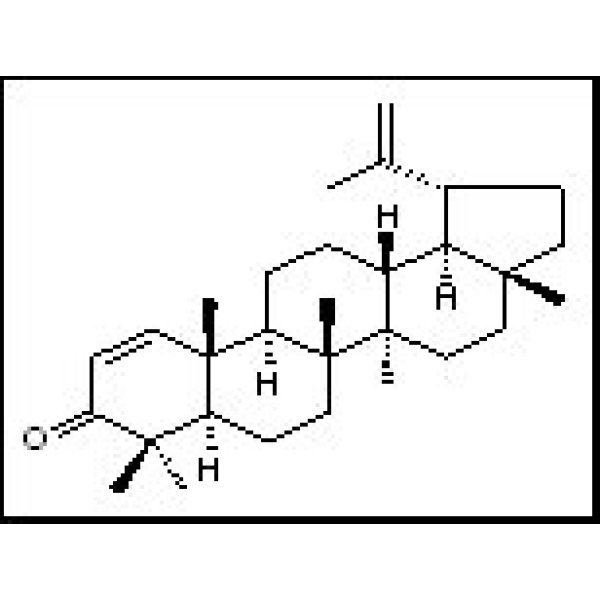 6610-55-5 算盘子酮 Glochidone