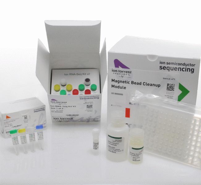 人白介素11(IL-11)ELISA试剂盒
