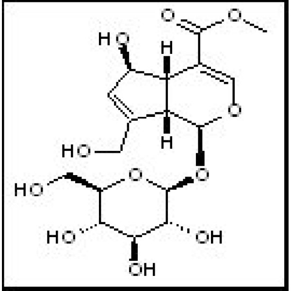 27530-67-2 鸡矢藤次苷甲酯 Feretoside