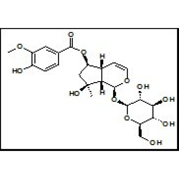 124168-04-3 6-O-香草酰基筋骨草醇 