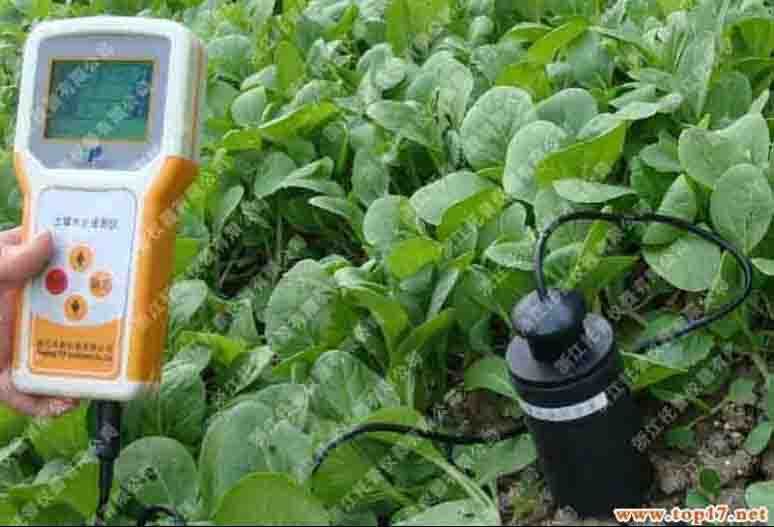 土壤水分测定仪TZS实现土壤适量灌溉