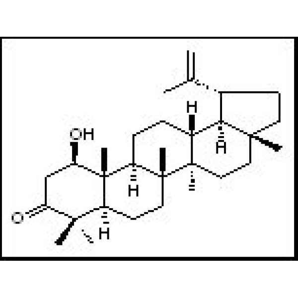 23963-54-4 算盘子酮醇 Glochidonol
