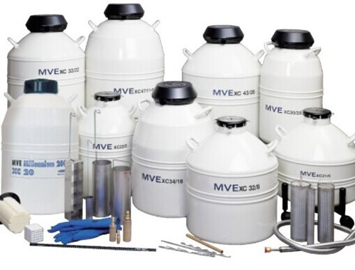 MVE细胞储存小型液氮罐 CryoSystem6000