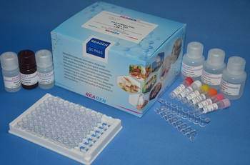 大鼠绒毛膜促性腺激素&#946;(&#946;-CG)免疫组化试剂盒