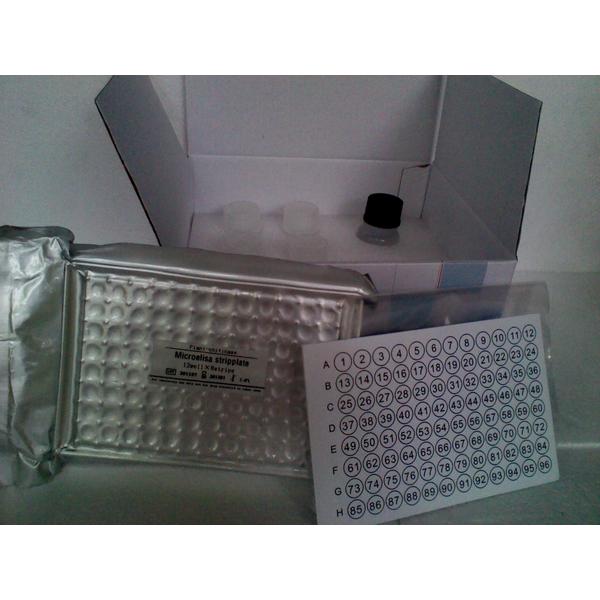 小鼠横纹肌辅肌动蛋白α (sm Actinin-α)ELISA kit