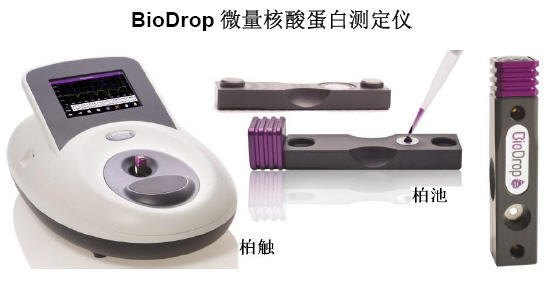 BioDrop柏点超微量核酸蛋白测定仪