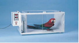 小动物保温箱