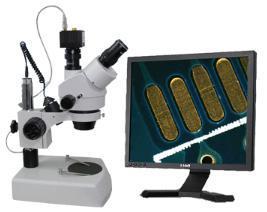 洛丰双目/三目体式显微镜上海洛丰精密检测仪器有限公司