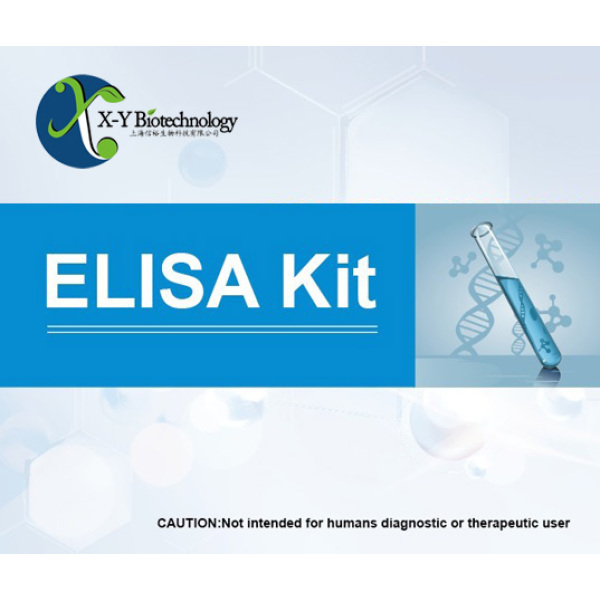 大鼠干细胞因子(SCF)ELISA试剂盒